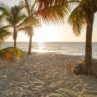 Karibik Kreuzfahrt mit AIDA zum Black Friday Angebot