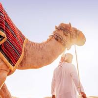 Orient ab Dubai