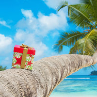 Kreuzfahrt zu Weihnachten