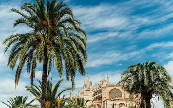 Mediterrane Schätze mit Korsika ab Mallorca mit AIDA