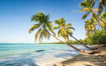 Von Barbados nach Hamburg