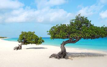 Von Martinique nach Hamburg 1 mit AIDA